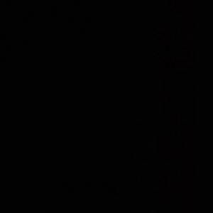 Meet your Posher, Daphnee